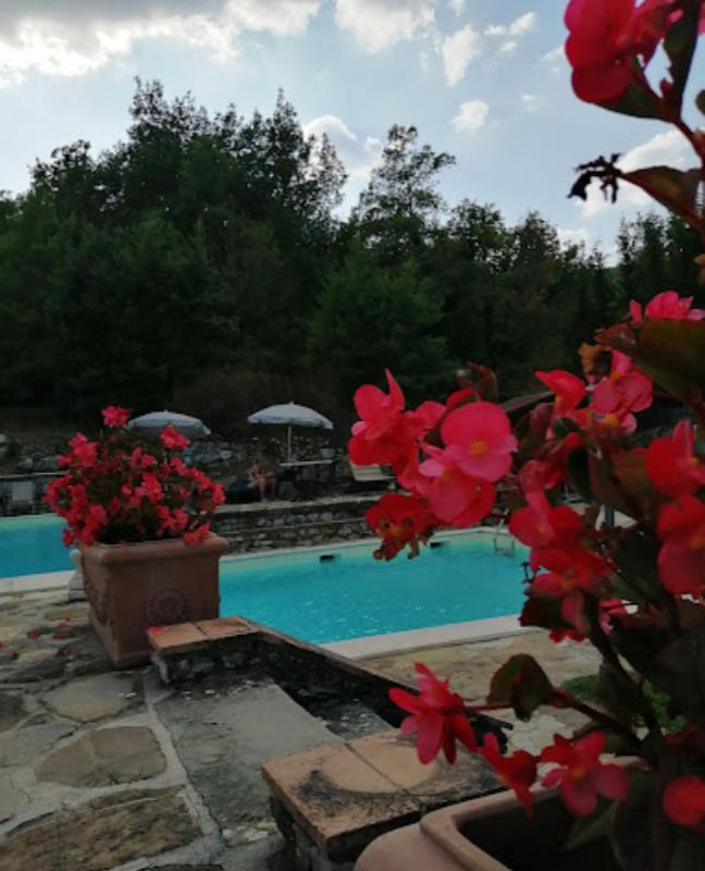 Le Pozze Di Lecchi Hotel 4*